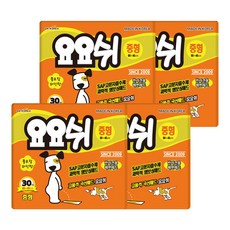 요요쉬중형