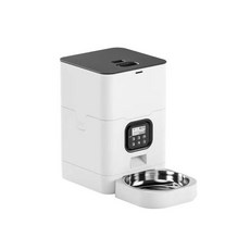 디클펫트리와이파이