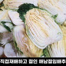 [김장추천] 땅끝해남 보은농장 직접재배하고 절인 90일 절임배추 20kg 7~9포기 특상품, 12월 7일출발 8일도착