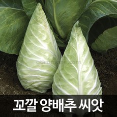 a5551c4655691caa27da5446005e25ecf9b62f85165dc8fedef9c5a4c590.jpg