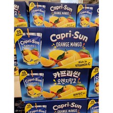 코스트코카프리썬