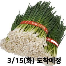 afe6a00192233ae018efe1057d1f522fccc5c3519acc1a87447dc1330534.jpg