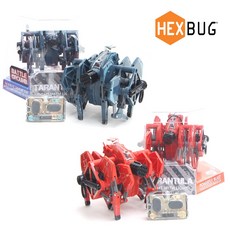 헥스버그타란튤라