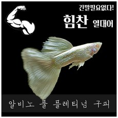 8563c23ed496a8a69c471bd72dde5fd4afafcf762ded44f4f92b11694f92.jpg