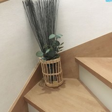 방에서키우는식물