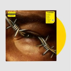 포스트 말론 LP Post Malone - Beerbongs & Bentleys Vinyl 바이닐 옐로우 한정판 엘피판 - 포스트말론lp