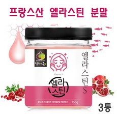 엘라스틴 분말 먹는 엘라스틴가루 데스모신 저분자 피쉬콜라겐 펩타이드 히알루론산 석류 피부탄력 효능 추천 대용량 콜라겐, 3개, 250g