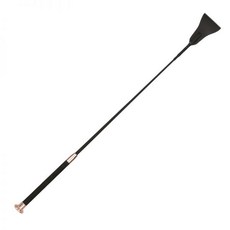 제주승마레슨비용