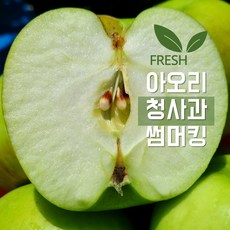 사과 청송 아오리 썸머킹 썸머프린스 풋 햇 청 초록 사과, 1개, (대) 4kg (19-21과)