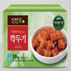 신선애