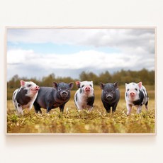 기분좋은 아기돼지 오남매 동물 사진 풍수 인테리어 장식 포스터 액자, 05. 화이트