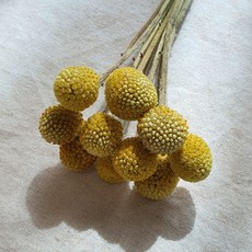 07881683efea7cf5c8b5b5ab2f688a27a13682cbd1a5de0b6a58b6adcd31.jpg