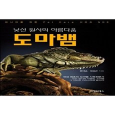 낯선원시의아름다움도마뱀