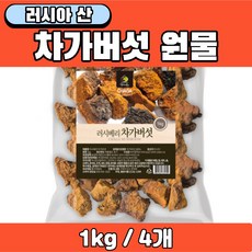 러시아 차가버섯 차 음료 물 만들기용 원물 원재료 100% 건차가버섯 건조차가버섯, 4개, 1kg