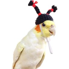 앵무새 옷 야외 귀여운 새 모자 앵무새용 웃픈 드레스 업 탑 생일할로윈버기 코카티엘스용 코뉴어 러브버드블랙 퀘이커, 1개