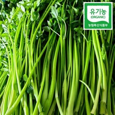 순창 유기농 미나리 돌미나리 1kg 새벽수확 세척발송 1kg 4개, 1개