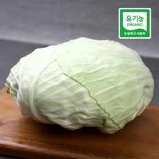 국내산 유기농 양배추 2kg 샐러드용 쌈용, 없음