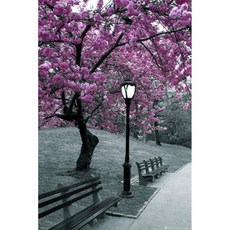 19단포스터