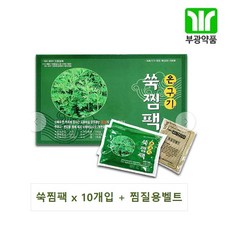 부광 온구기 쑥찜팩 x 10개입 + 찜질용벨트 1박스, 1box