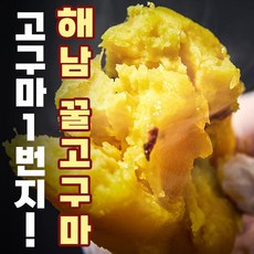 신선하이