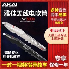 입문용색소폰 초보자용색소폰 EWI 5000 솔로가이드 초보자 색소폰 전문 관악기 대전, 01 나팔관 예정 계약금 200원