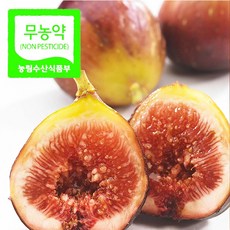 당일수확친환경무농약무화과1.2kg