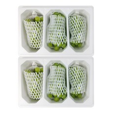 코스트코샤인머스켓