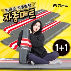 핏테라자충매트