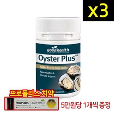 오이스터절충형