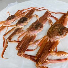 일품대게 중자 400-450g (1마리 기준), 1개