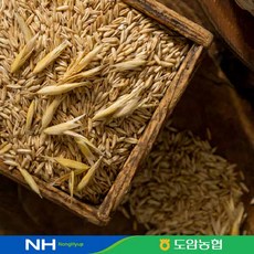 농협귀리 2023 농협 강진 햇 쌀귀리 7kg(1kg*7팩), 1