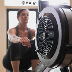 배구댕 로잉머신 로잉 가정용 크로스핏 노젓기 전신