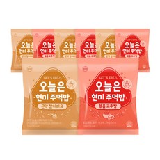 오늘은현미주먹밥