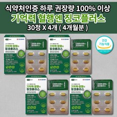 뇌기반심리치료