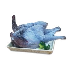 폐계닭구매