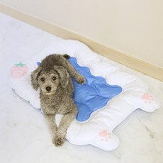 혼시티 강아지 쿨매트 고양이 쿨링 방석 젤타입, S무지개