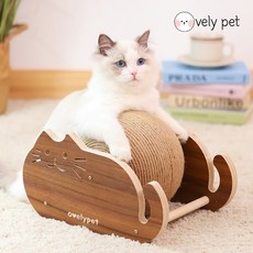 페트병물로켓발사대