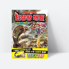 최강왕시리즈