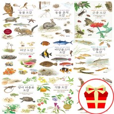 보리어린이식물도감