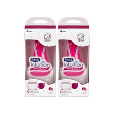 쉬크인튜이션석류