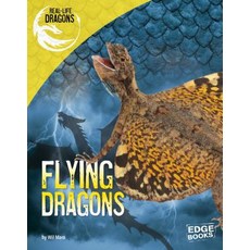 (영문도서) Flying Dragons Paperback, Capstone Press, English, 9781515750758