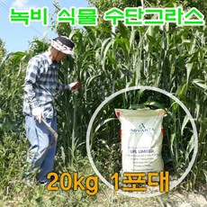 수단그라스