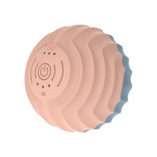 오엘라발마사지기