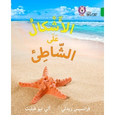 (영문도서) Shapes on the Seashore: Level 5 Paperback, Collins Educational, English, 9780008156411