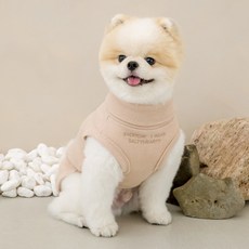 솔티핫티