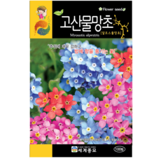 개망초생화