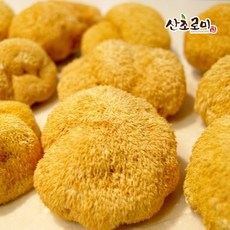 SC1 노루궁뎅이버섯 100g, 1개
