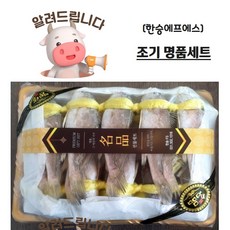 긴가이석태1.6