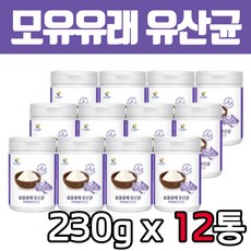 대용량 온가족 모유 유래 유산균 230gx12통 프로바이오틱스 락토바실러스 비피도 박테리움 엄마 아빠 부모님 20대 30대 40대 50대 60대 남자 여자 남성 여성 선물, 230g, 12개