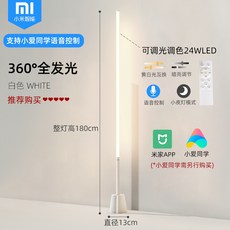 까사미아플로어램프